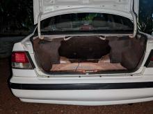 https://riyasewana.com/uploads/nissan-fb--12120076275.jpg