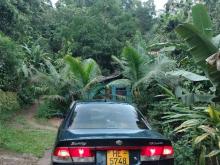 https://riyasewana.com/uploads/nissan-fb-15-301855566514.jpg