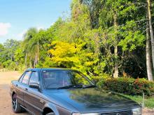 Nissan FB13 Ex Saloon 1996 Car