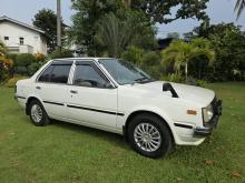 Nissan HB11 1983 Car
