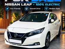 Nissan Leaf ZE1 Autech G Conversation 2024 Car