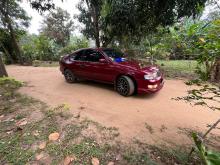 Nissan Lucino FB14 1998 Car