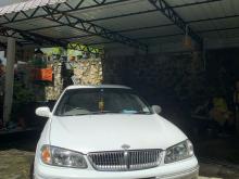 Nissan N16 Sylphy 2001 Car