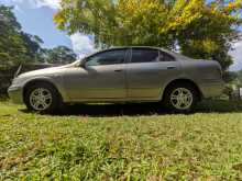 Nissan N16 Sylphy 2000 Car