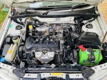 https://riyasewana.com/uploads/nissan-n17-117521024262.jpg