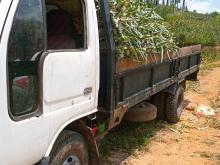 Nissan Nissan 1994 Lorry
