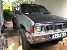 Nissan Datsun 1984 Pickup