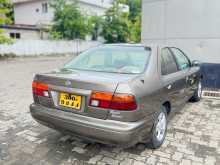 https://riyasewana.com/uploads/nissan-nissan-sunny-1995-1412104312402.jpg
