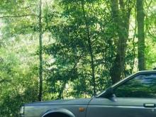 Nissan SUNNY WHB12 1987 Car