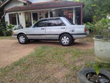 Nissan Trad Sunny 1989 Car