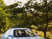 Nissan Presea 1992 Car