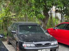 Nissan Primera 2000 Car