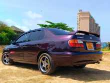 Nissan Primera 2000 Car