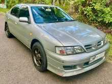 Nissan Primera P11 2003 Car