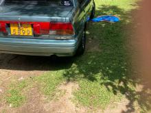 Nissan Pulsar 1989 Car