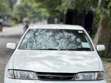 Nissan Pulsar Cj1 1999 Car