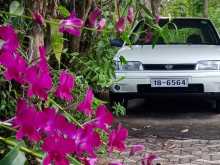 Nissan Pulsar SPORTS N14 1992 Car