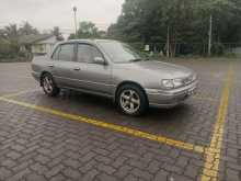 Nissan Pulsar N 14 1996 Car
