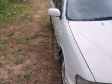 https://riyasewana.com/uploads/nissan-sb-14-23124416497358.jpg