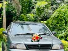 Nissan Bluebird 2000 Car