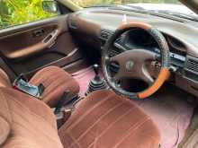 https://riyasewana.com/uploads/nissan-sunny-141952144303.jpg