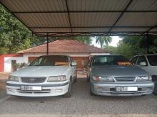 Nissan Sunny 2002 Car