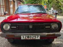 Nissan Sunny B211 1979 Car