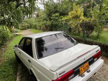 Nissan Sunny 1987 Car