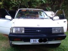 Nissan Sunny B11 1983 Car