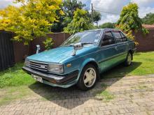 Nissan Sunny B11 1985 Car