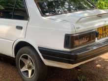 Nissan Sunny B11 1984 Car