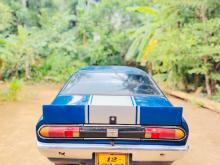 Nissan Sunny B211 1980 Car