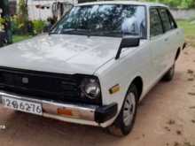 Nissan Sunny B310 1982 Car