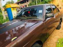 Nissan Sunny B310 1980 Car