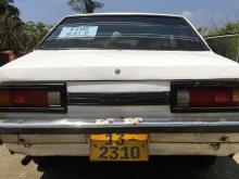 Nissan Sunny B310 1978 Car