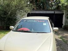 Nissan Sunny FB14 1996 Car