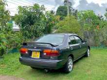 Nissan Sunny FB14 1996 Car