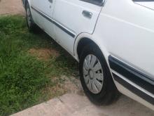 Nissan Sunny HB11 1984 Car