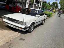 Nissan Sunny Hb12 1987 Car