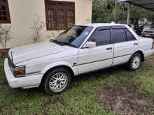 Nissan Trad Sunny 1987 Car