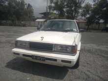 Nissan TRAD SUNNY 1989 Car