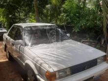 Nissan Trad Sunny 1986 Car