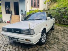 Nissan Trad Sunny Super Saloon 1987 Car