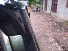 https://riyasewana.com/uploads/nissan-vanette-281103306026.jpg