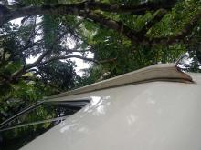 https://riyasewana.com/uploads/nissan-vrge24-221024436244.jpg