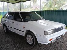 Nissan Trad Sunny WHB12 1986 Car