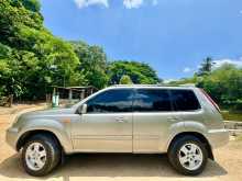https://riyasewana.com/uploads/nissan-x-trail-t30-2003-1012273612683.jpg