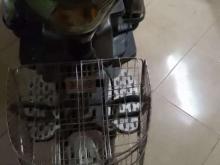 https://riyasewana.com/uploads/nwow-electric-21802476985.jpg