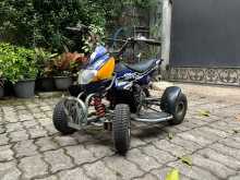 Other ATV 2010 Motorbike