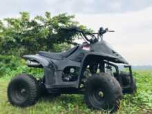 Other ATV Beach 2020 Motorbike